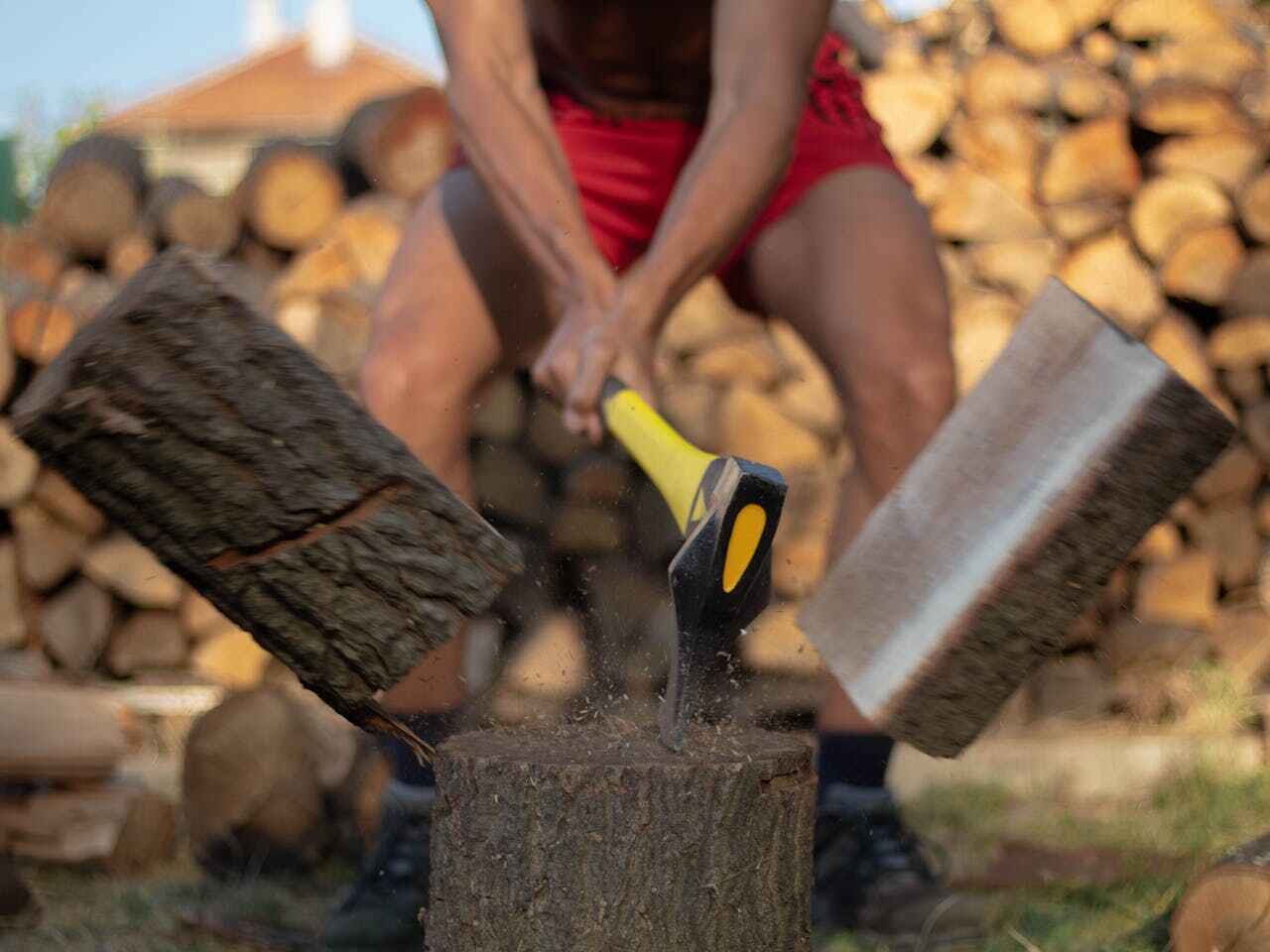 Tree Removal for Businesses